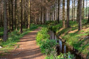Ein Wasserkanal an einem Wanderweg
